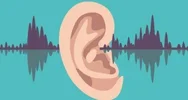 Что и как мы слышим