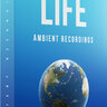 Cymatics - LIFE Ambient Recordings