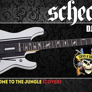 Обзор электрогитары SCHECTER DJ ASHBA SWHT