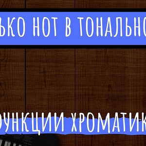 Сколько нот в тональности и как они работают?