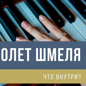Полет шмеля - что внутри? (хроматика на практике)