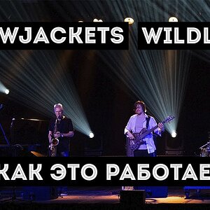 Как это работает - WildLife (Полиметрия на практике)