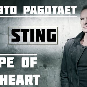 Как это работает - Sting Shape of my Heart