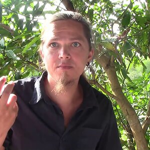 Как я с подписчиков песни для анализа собирал)