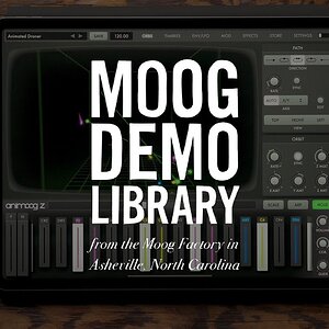 Animoog Z for iOS | Введение и новые возможности