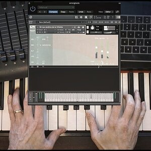 Bell-tone ● Toy Piano ● WRONGTOOLS