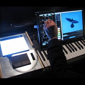 Silhouette eins - dove dance - (feb. 2022)