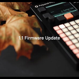 Polyend Play 1.1 Обновление прошивки