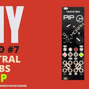 Сборка своими руками № 7: Модуль Neutral Labs Pip V1.1 Eurorack | Генератор/рекордер CV с двойной тактовой частотой |