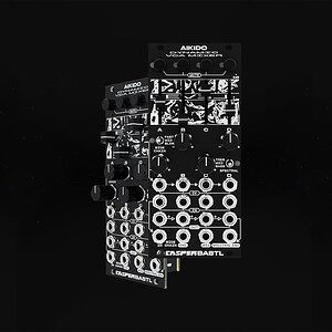 CASPERxBASTL - AIKIDO