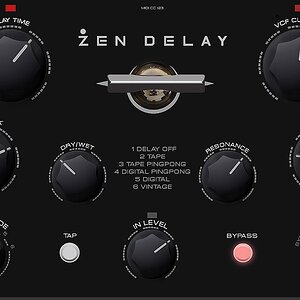 Erica Synths x Ninja Tune Zen Delay Виртуальный обзор
