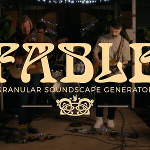 Walrus Audio Pedal Play: Генератор звуковых ландшафтов Fable Granular