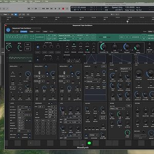WoodSynth 4 0 Tube presets